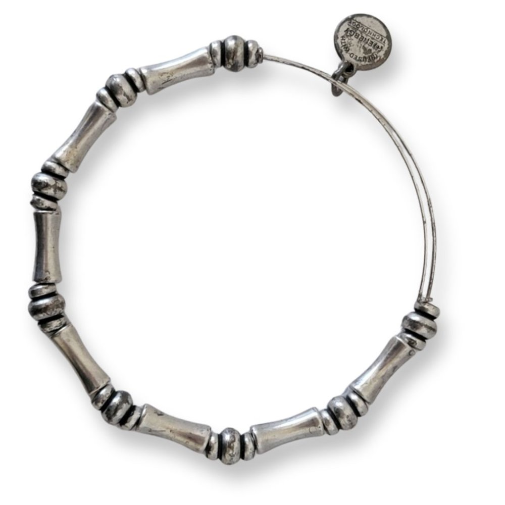 Alex & Ani Silver Beaded Bracelet